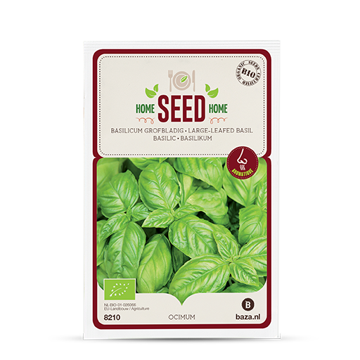 Basil Seeds Coarse leaved Baza