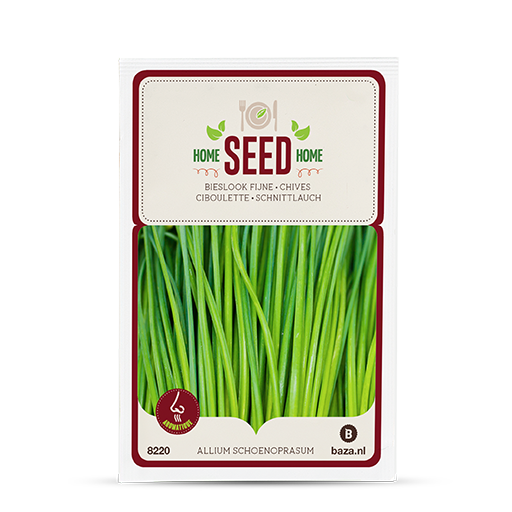 Seeds Chives Fine