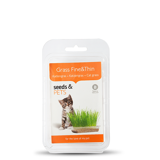 Grass Fine & Thin Cat grass