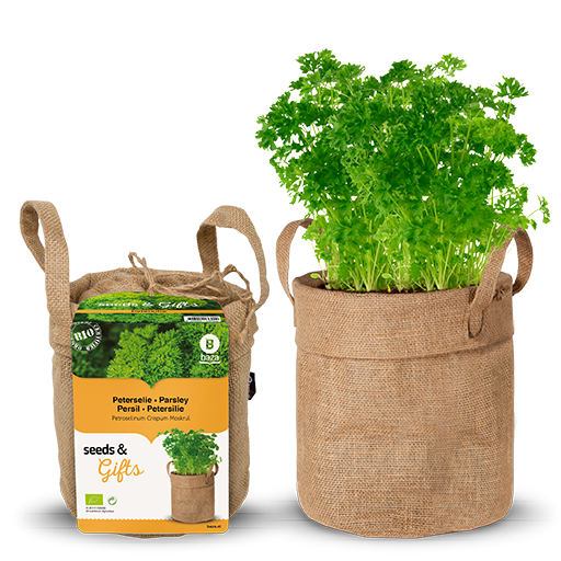 Bio Parsley