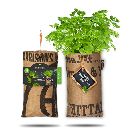 Bio Parsley