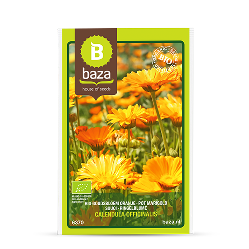 Pot Marigold - Baza