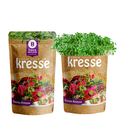 Rucola-Kresse